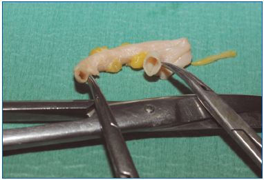 Figure 3 Figure 3