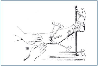 Figure 11 Figure 11