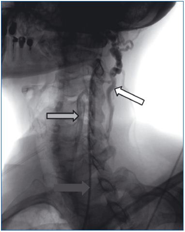 Figure 1 Figure 1