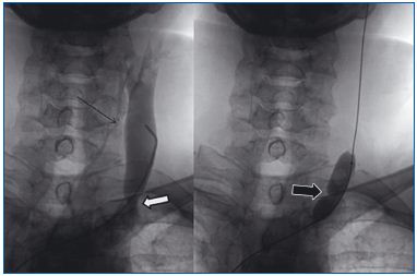 Figure 3 Figure 3
