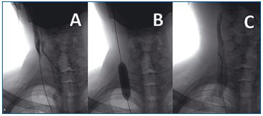 Figure 4 Figure 4
