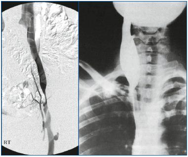 Figure 3 Figure 3