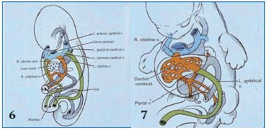Figure 6/7 Figure 6/7