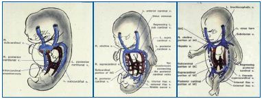 Figure 10 Figure 10