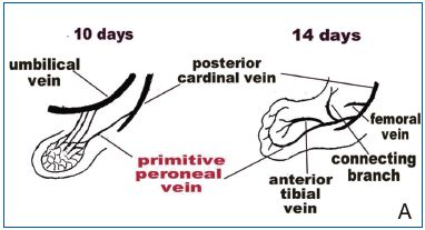 Figure 13 Figure 13