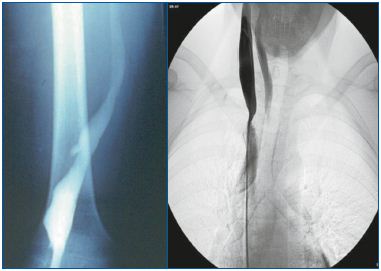 Figure 2 Figure 2