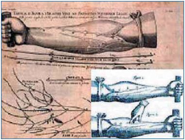 Figure 1 Figure 1