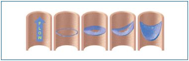 Figure 2 Figure 2