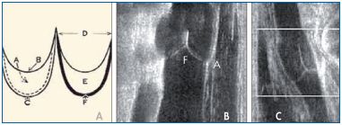 Figure 3 Figure 3