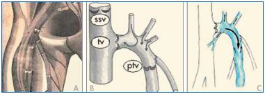 Figure 5 Figure 5