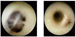 Figure 1 Figure 1