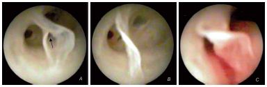 Figure 2 Figure 2