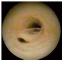 Figure 3 Figure 3