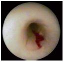 Figure 4 Figure 4