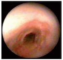 Figure 13 Figure 13