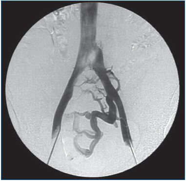 Figure 3 Figure 3