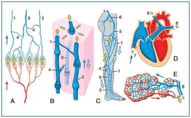 Figure 2 Figure 2