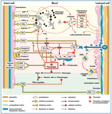 Figure 4 Figure 4