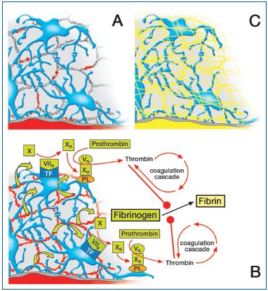 Figure 5 Figure 5