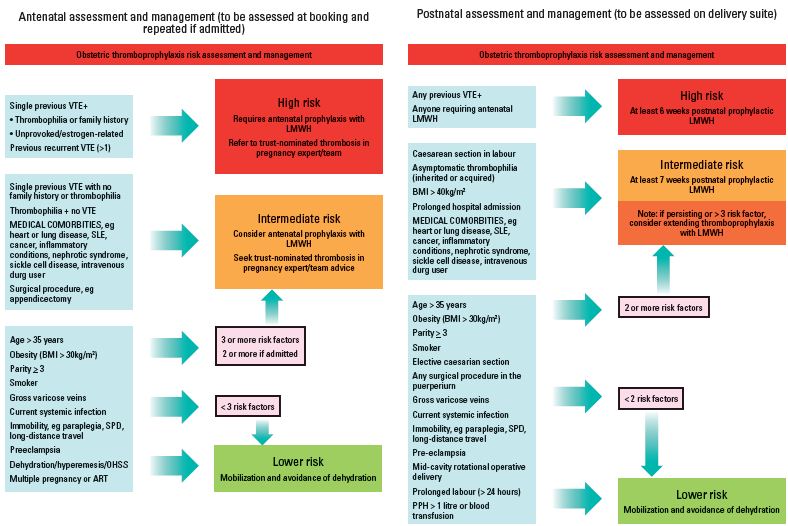 Figure 1 Figure 1
