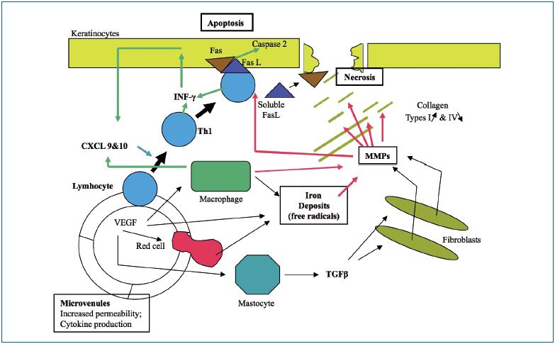 Figure 1 Figure 1
