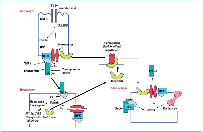 Figure 2 Figure 2