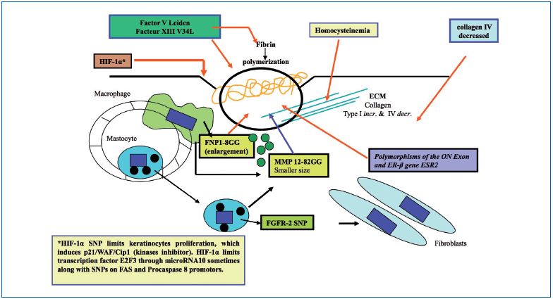 Figure 3 Figure 3