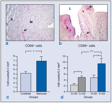 Figure 4 Figure 4