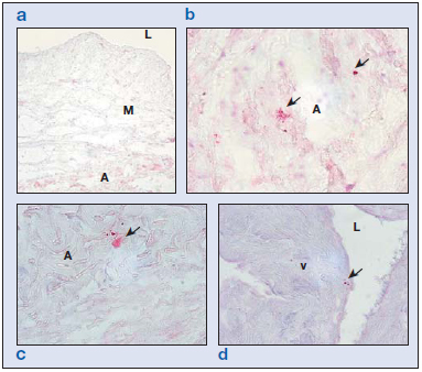 Figure 5 Figure 5