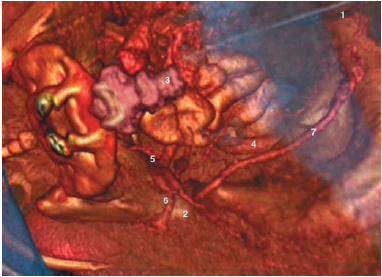 Figure 7 Figure 7