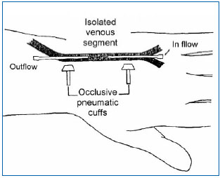 Figure 1 Figure 1