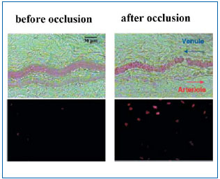 Figure 2 Figure 2