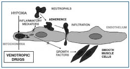 Figure 1 Figure 1