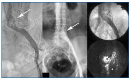Figure 1 Figure 1