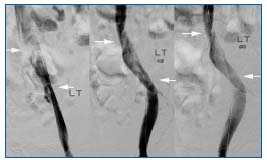 Figure 2 Figure 2