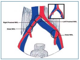 Figure 3 Figure 3
