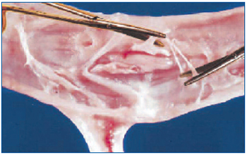 Figure 3 Figure 3
