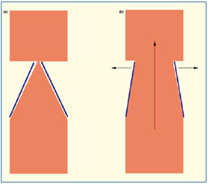 Figure 3 Figure 3