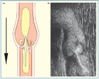 Figure 6 Figure 6