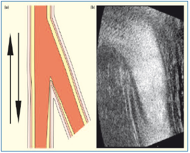 Figure 8 Figure 8
