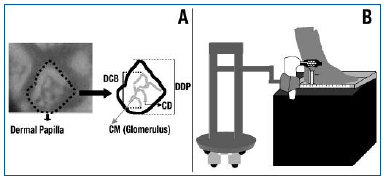 Figure 1 Figure 1