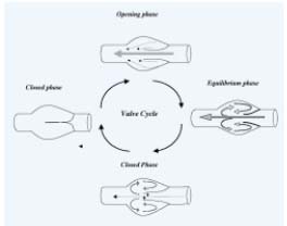 Figure 1 Figure 1