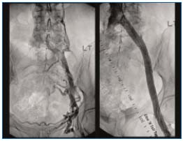 Figure 1 Figure 1