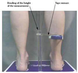 Figure 3 Figure 3