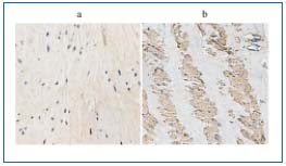 Figure 2 Figure 2