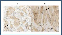 Figure 3 Figure 3
