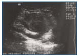 Figure 6 Figure 6