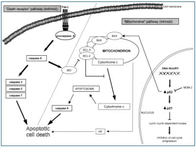 Figure 5 Figure 5