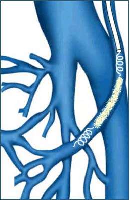 Figure 1 Figure 1