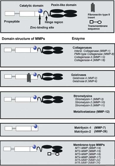 Figure 1 Figure 1